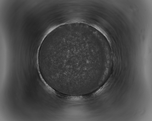 X0000086881055200704161217