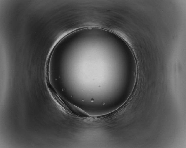 X0000086881056200704161217