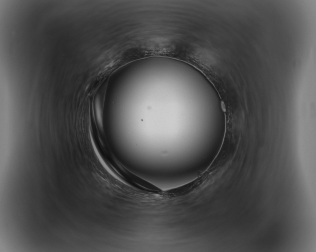 X0000086881058200704161216