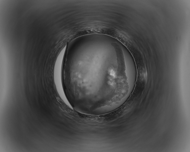 X0000086881060200704161216