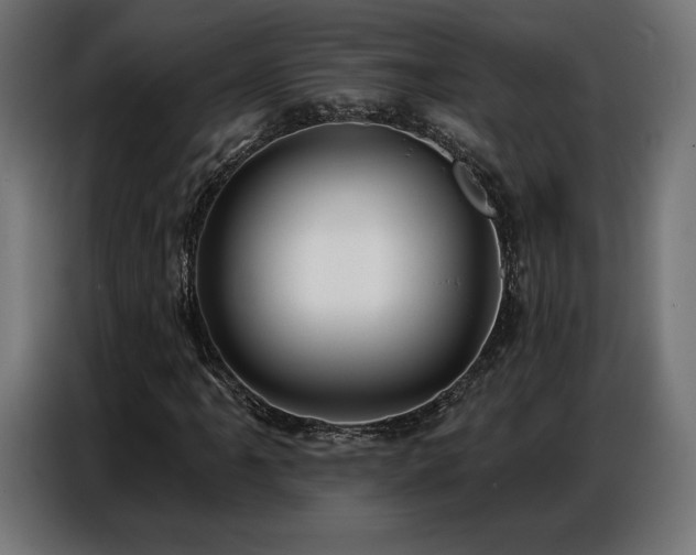 X0000086881061200704161216