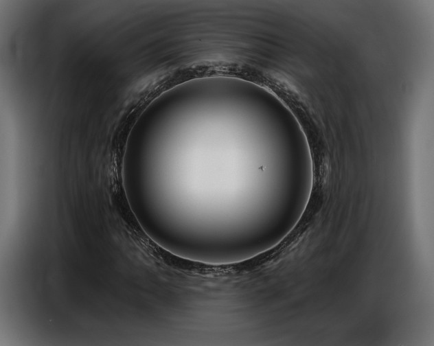 X0000086881062200704161216