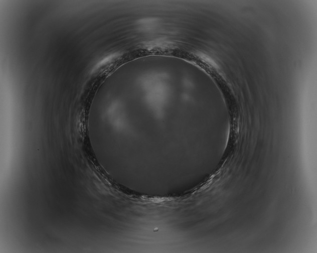 X0000086881063200704161216