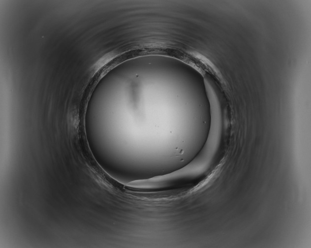 X0000086881065200704161216