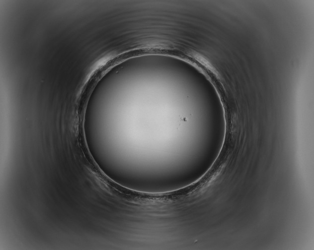 X0000086881067200704161216