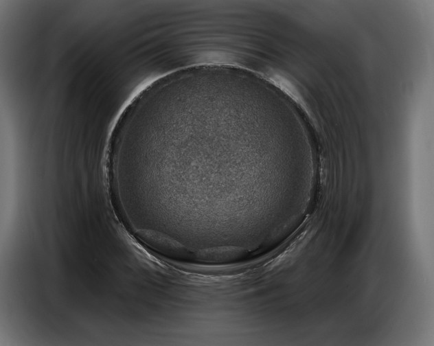 X0000086881068200704161216