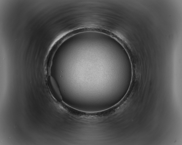 X0000086881070200704161216