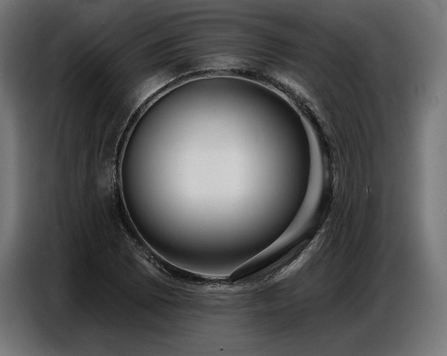 X0000086881073200704161216