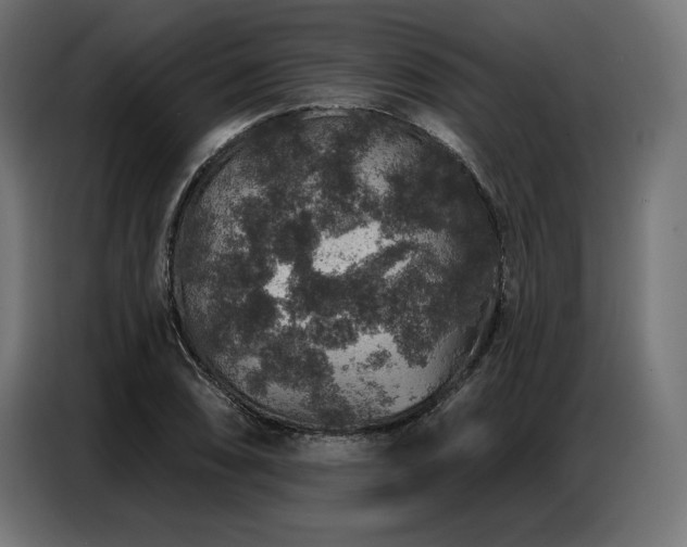 X0000086881074200704161216