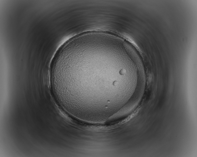 X0000086881079200704161216