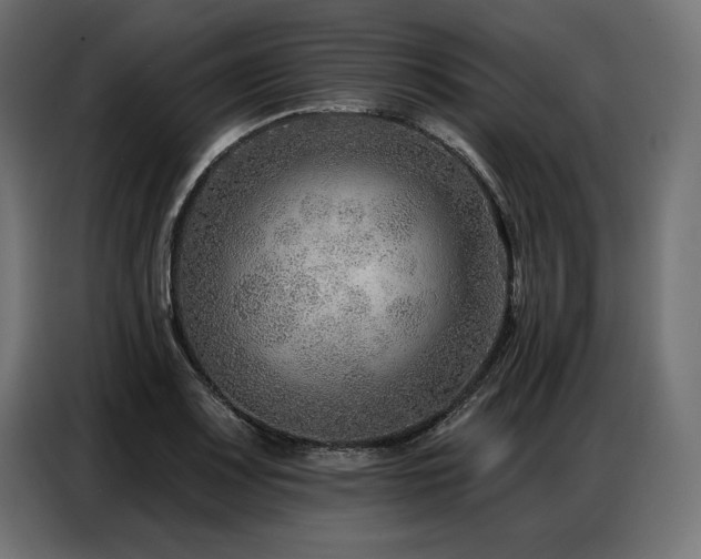 X0000086881083200704161215