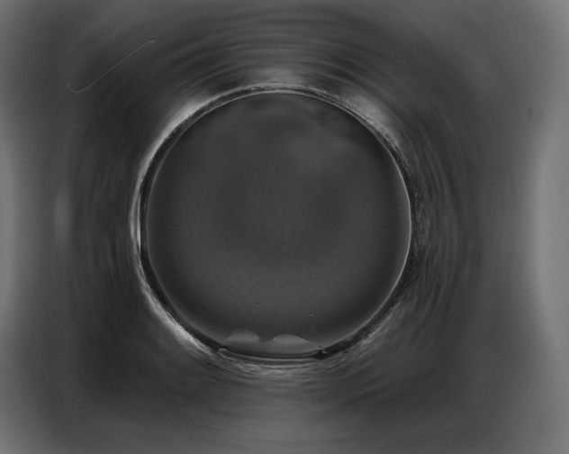 X0000086881084200704161215