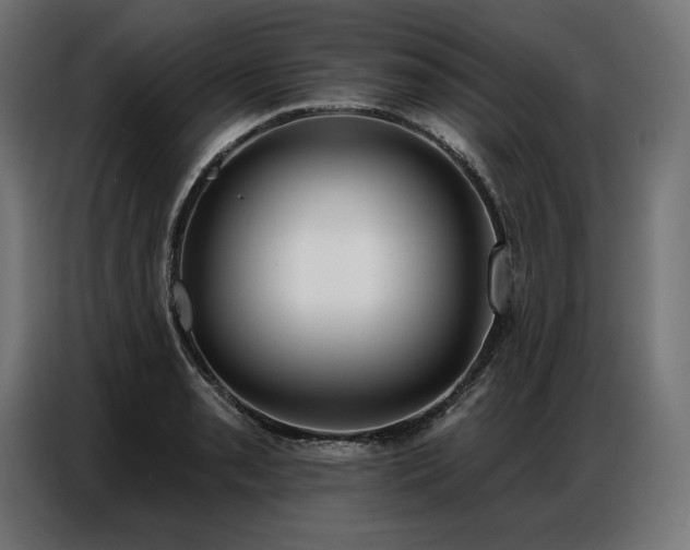 X0000086881085200704161215