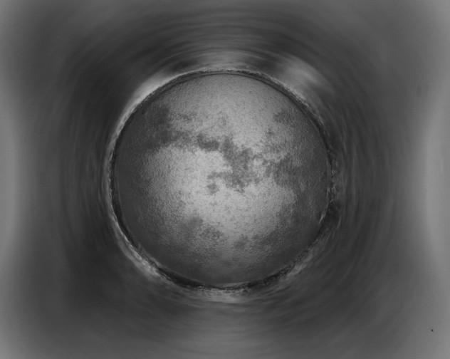 X0000086881086200704161215