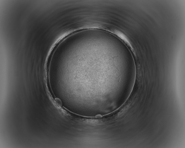 X0000086881088200704161215