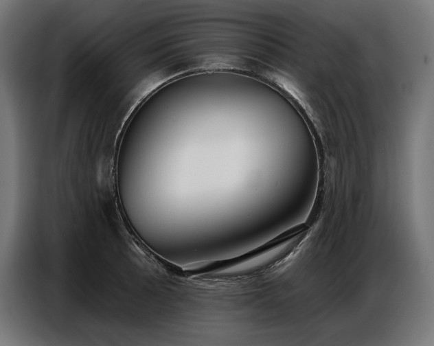 X0000086881089200704161215