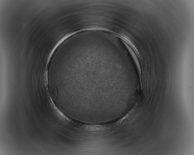 X0000086881092200704161215