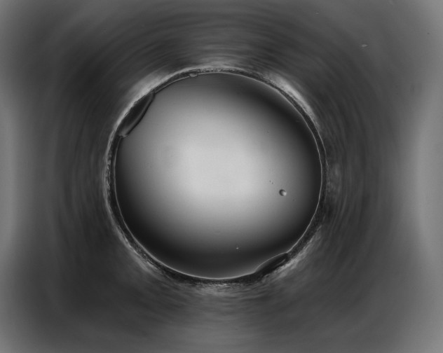 X0000086881093200704161215