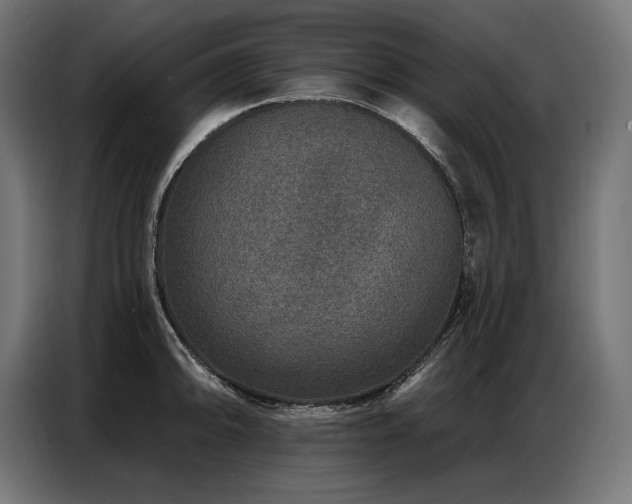 X0000086881094200704161215