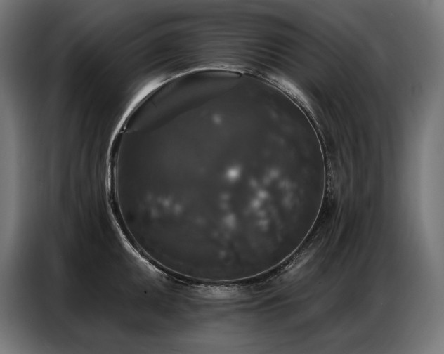 X0000086881095200704161215