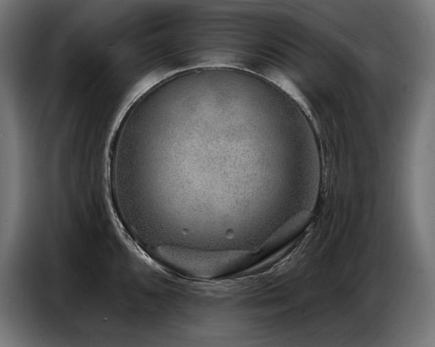 X0000086881096200704161215