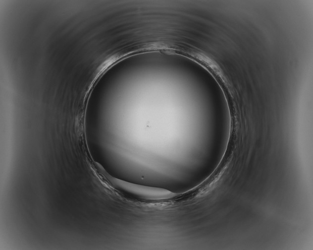 X0000086881097200704161215