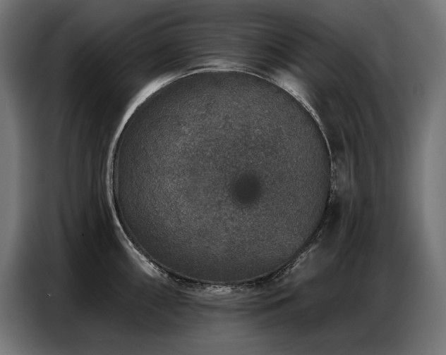 X0000086881098200704161215