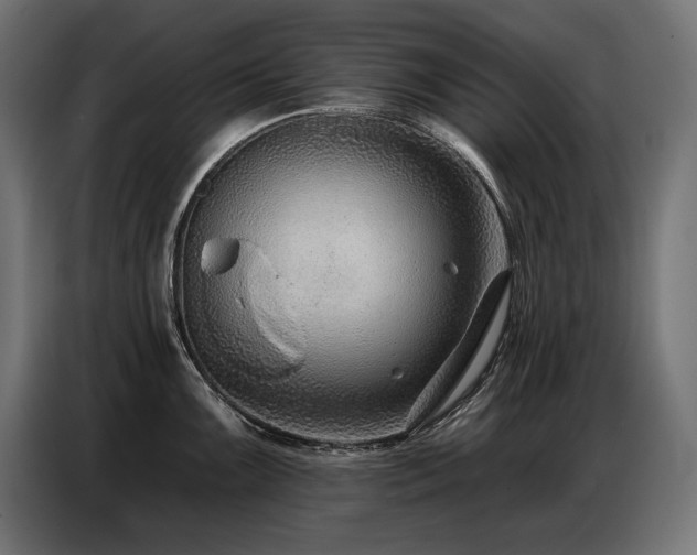 X0000086881099200704161215