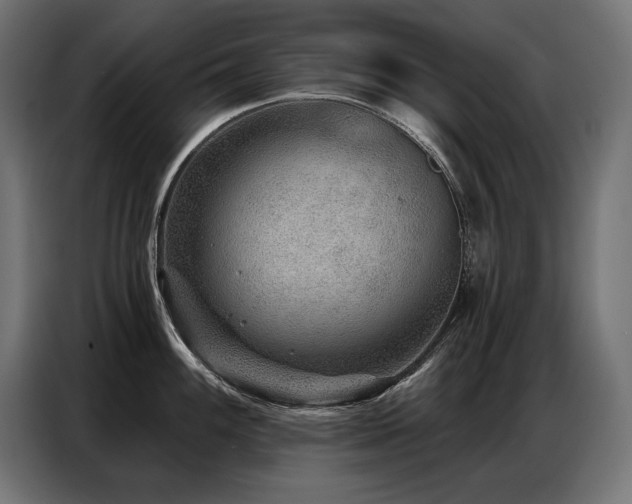 X0000086881100200704161215