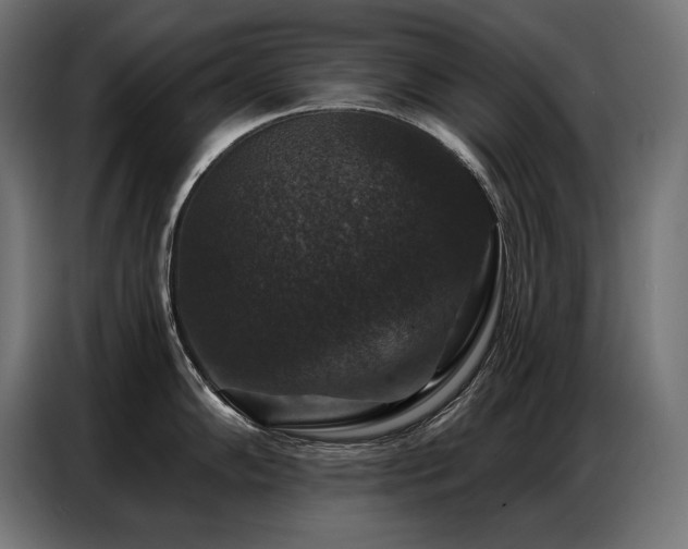 X0000086881102200704161215