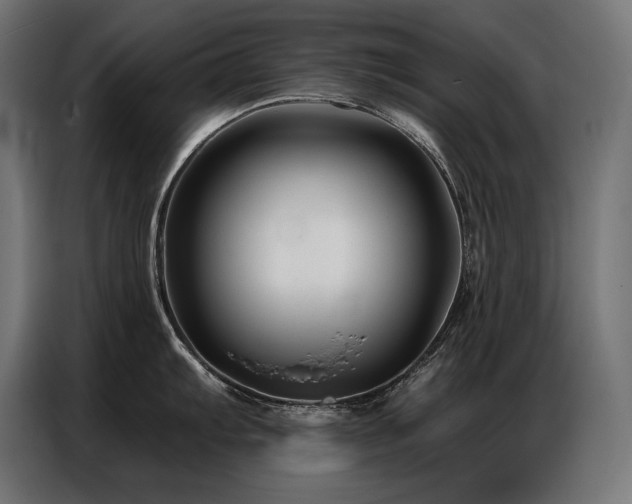 X0000086881103200704161215