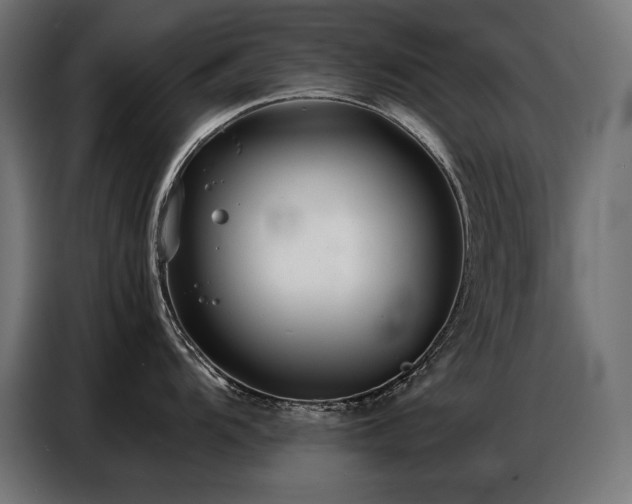 X0000086881104200704161215