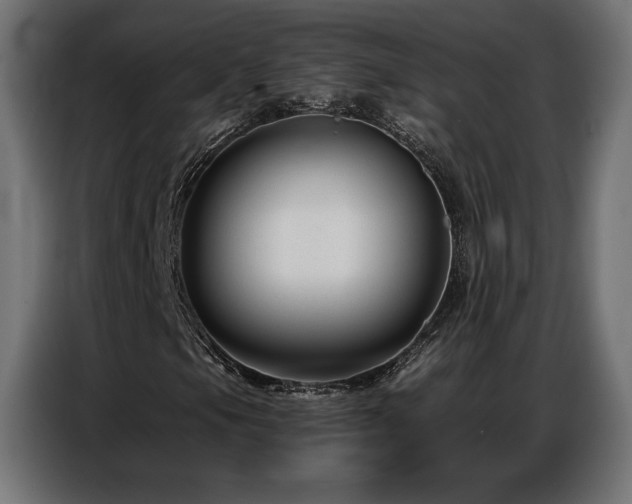 X0000086881105200704161214