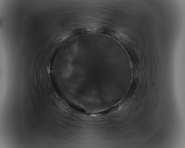 X0000086881106200704161214