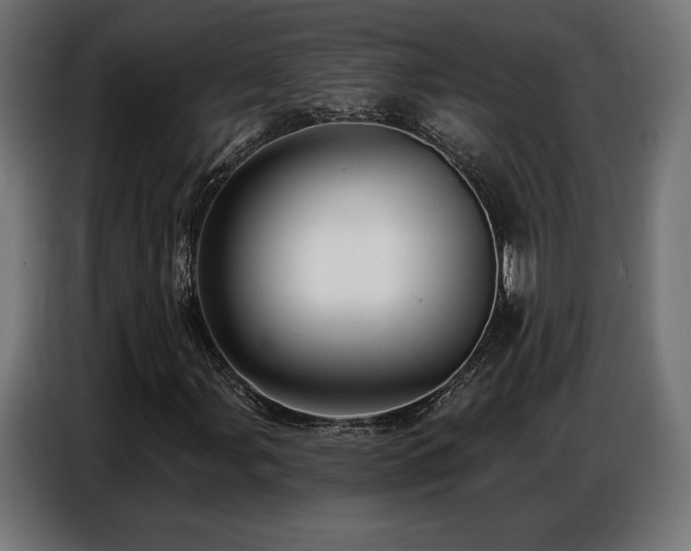 X0000086881107200704161214