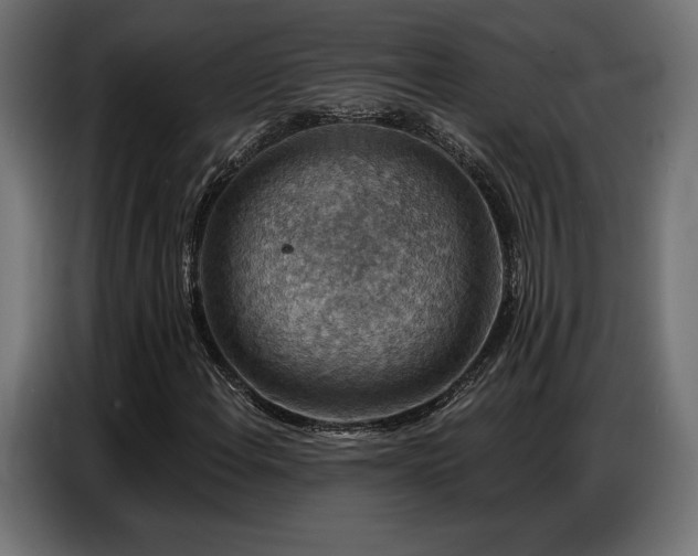 X0000086881108200704161215