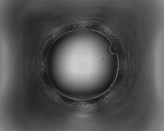 X0000086881109200704161215