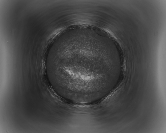 X0000086881110200704161215