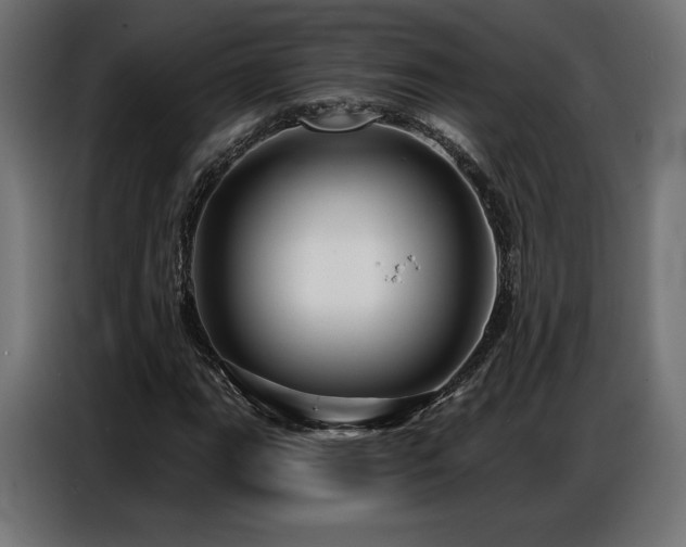 X0000086881111200704161215