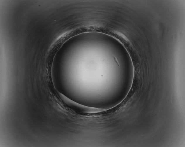 X0000086881112200704161215