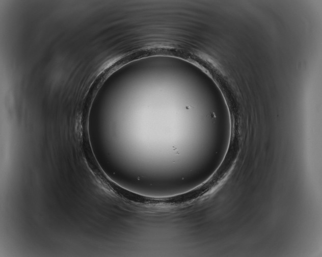 X0000086881113200704161215