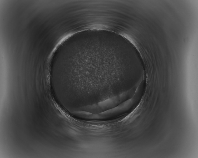 X0000086881115200704161215