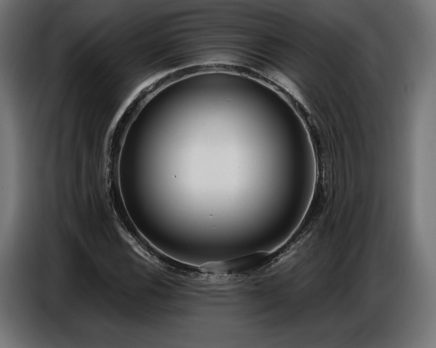 X0000086881116200704161215