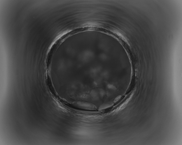 X0000086881117200704161215