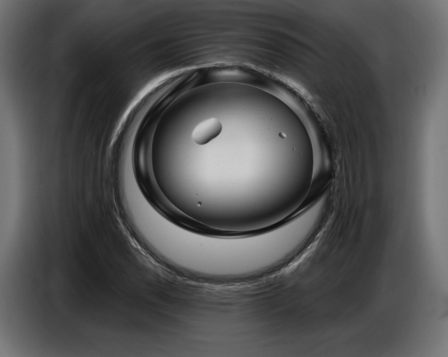 X0000086881118200704161215