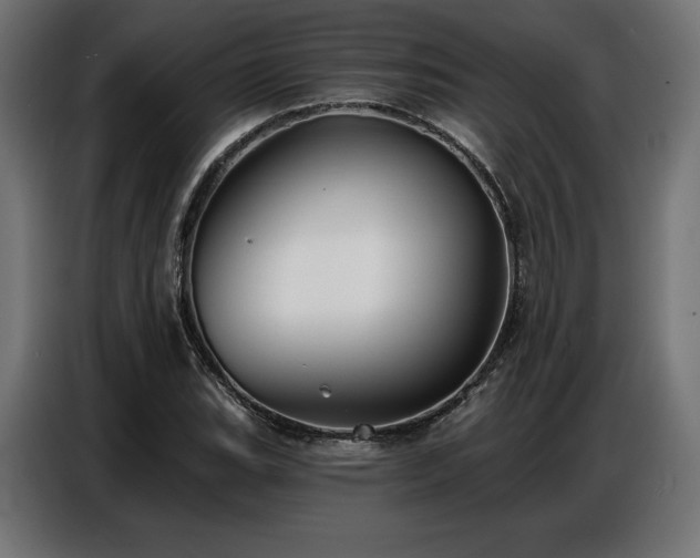 X0000086881119200704161215