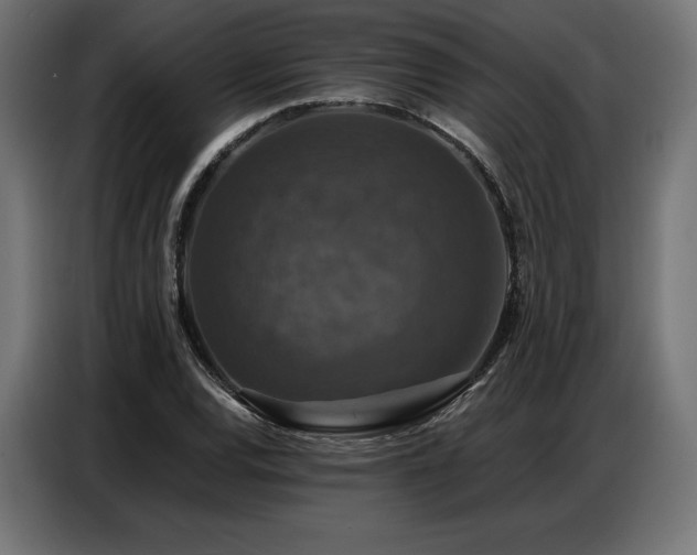 X0000086881120200704161215