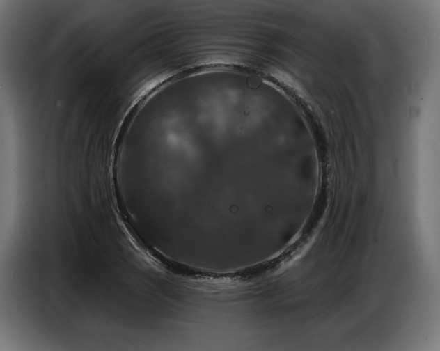 X0000086881121200704161215