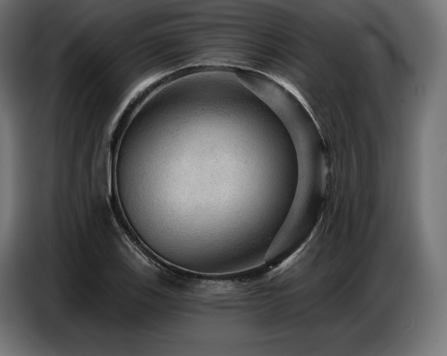 X0000086881123200704161215