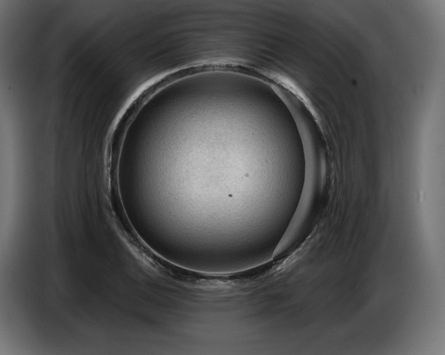 X0000086881124200704161215